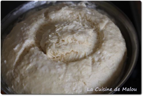 pate-levee-facile-thermomix-recette.JPG