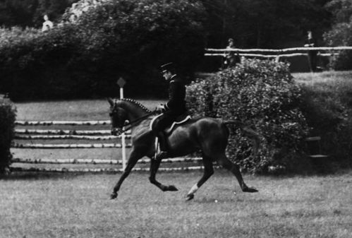 Patrick Le Rolland et Cramique - Fontainebleau 1971.B