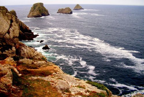 pois-sea-bretagne-pen-hir.JPG