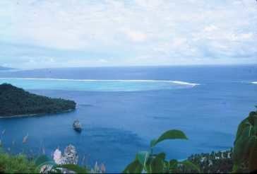 Tahaa Claude 5