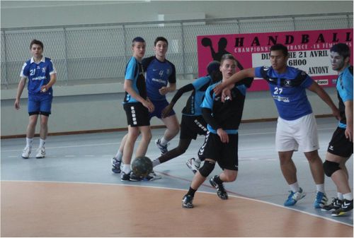 SERRIS023