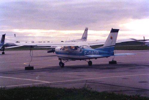 cardinal002.jpg