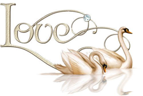 mdg-4554-6564--4-.png
