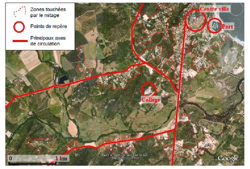 mitage-urbain-autour-Porto-Vecchio.jpg