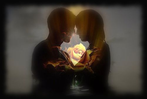 couple-rose.jpg