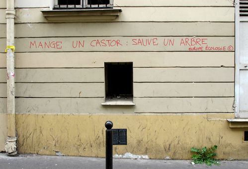 castor-street-art-Oberkampf-message.jpg