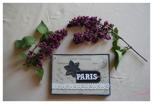 album paris (1) (Copier)