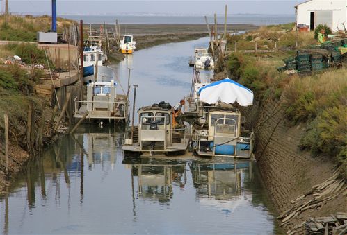 Paysans-de-la-mer.JPG