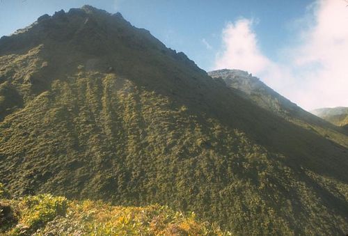 Mt.Pelee----2.jpg