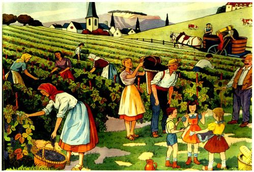 scene-vendanges