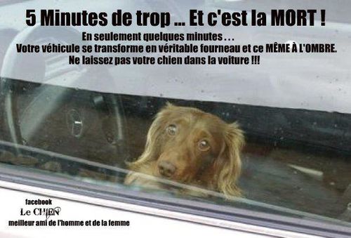 chaud32343_585676808117702_767944632_n.jpg