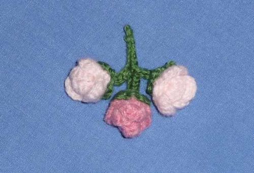 boutonrose2