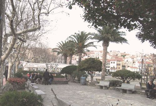 Copie-de-S7301132.JPG