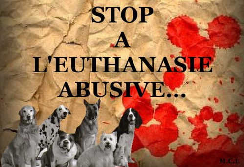 stop a l'euthanasie abusive