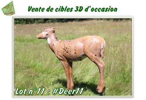 Lot n°11 #Deer11