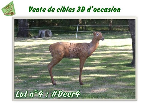 Lot n°4 #Deer4