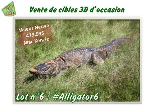 Lot n°6 #Alligator6