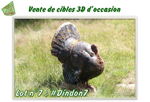 Lot n°7 #Dindon7
