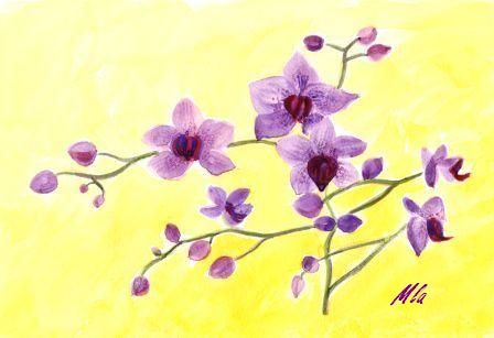 au nectar d orchidee le papillon parfume ses ailes matsuo basho