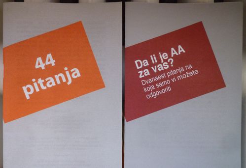 HISTOIRE 859 bosniaque