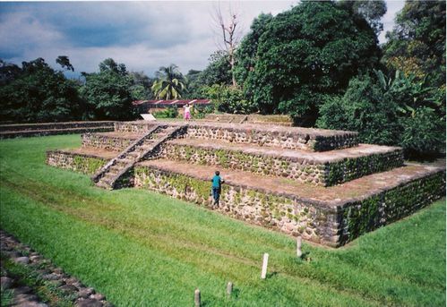9353047.jpg