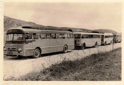 les bus
