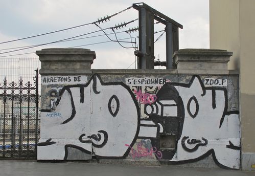 Zoo Project espions street-art