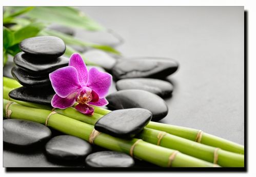 zen6