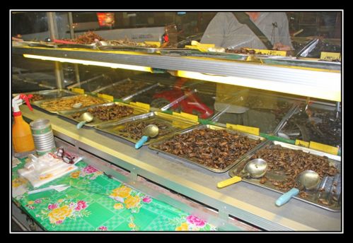 N04 Insect Thai