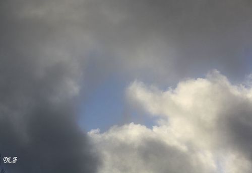 20110117_125.JPG