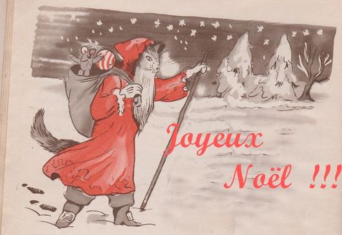 noel chat 001