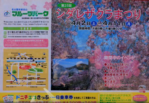sakura-matsuri-poster.jpg