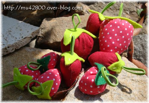 fraises1b