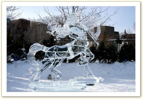sculpture de glace6