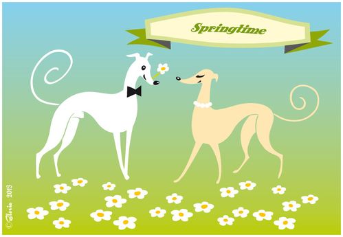 Whippets de Printemps - carte postale