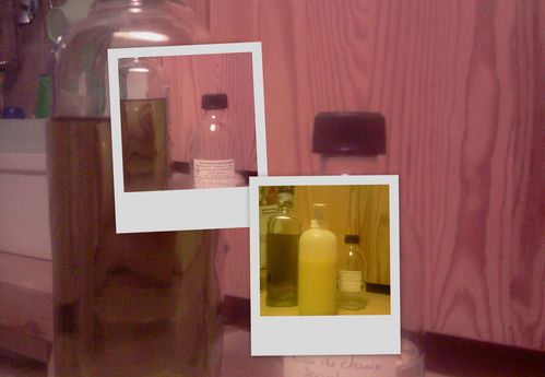 image blog1