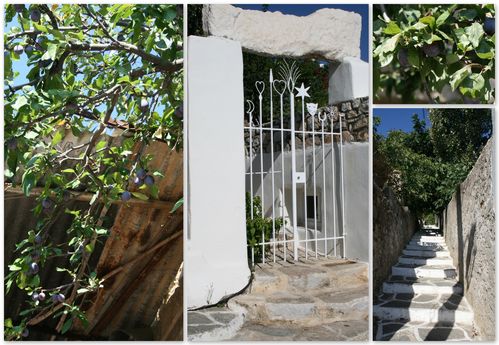 2011-08-15-cigales1.jpg