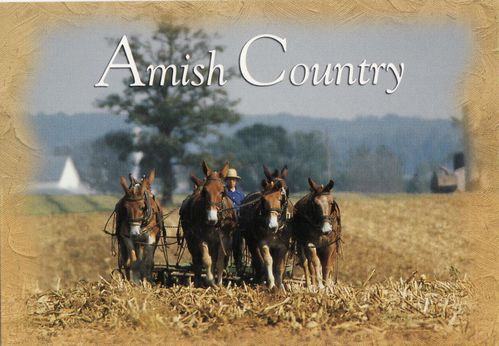 Amish Country