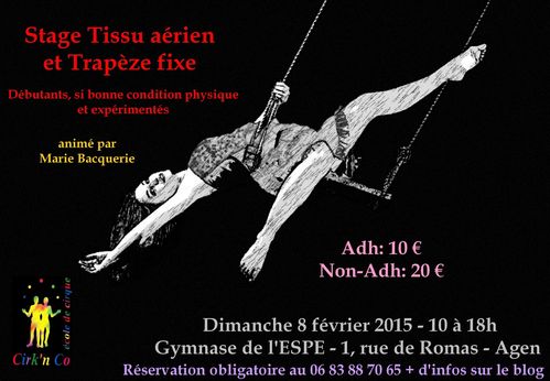 stage-aerien150208-copie-1.jpg