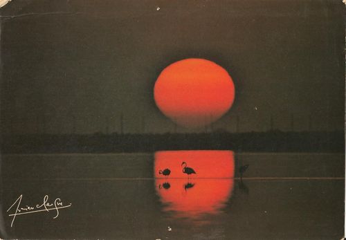 cartes-postales-coucher-de-soleil-001.jpg