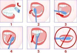 comment brosser mes dents avec mon appareil le de comment brosser mes dents avec mon appareil le de