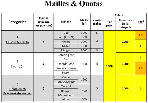 Maille-de-la-competition.jpg