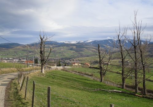 004-copie-1.JPG