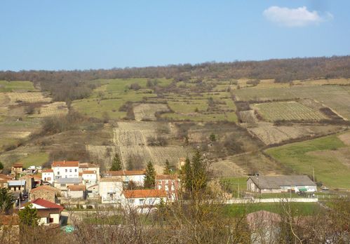 Boudes-5-vignobles.JPG