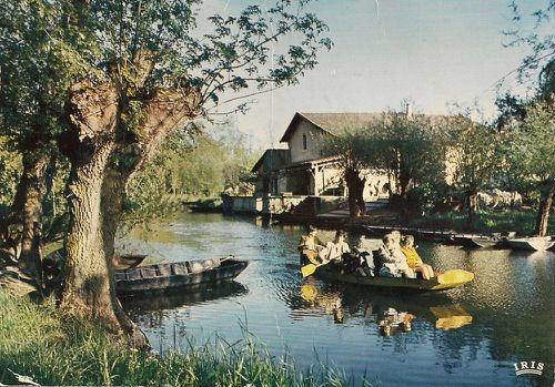 Cartes postales Marais Poitevin Venise Verte La Garette