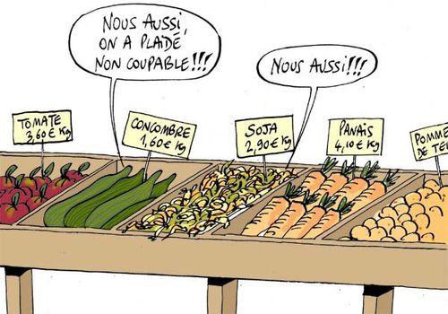 les-legumes-plaident-non-coupable.jpg