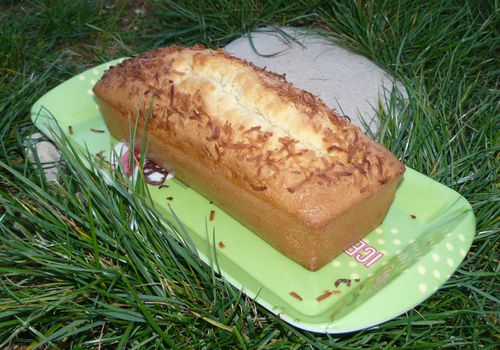 cake moelleux au lait de coco 1