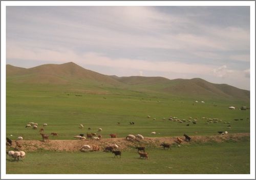 steppe.jpg