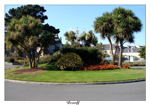 Roscoff-1.jpg