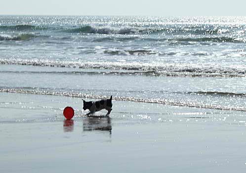 domino-a-la-plage--5--3-.jpg